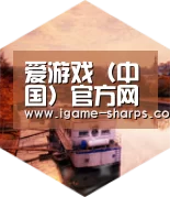 爱游戏中德合璧 实力可鉴