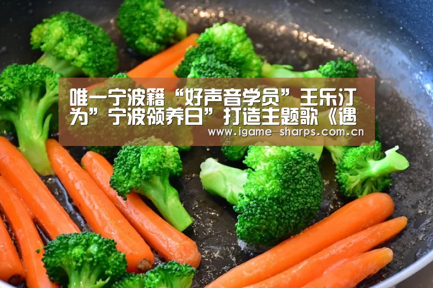唯一宁波籍“好声音学员”王乐汀为”宁波领养日”打造主题歌《遇见流浪的你》上线‘AYX’(图4)