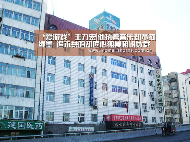 ‘爱游戏’王力宏|他执着音乐却不拘绳墨 追求共鸣却匠心独具相识数载王力宏只会用作品说话！(图3)