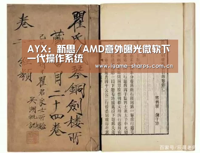 AYX:新思/AMD意外曝光微软下一代操作系统(图3) 爱游戏
