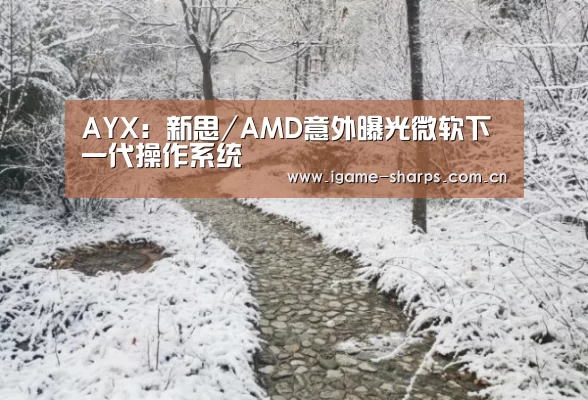 AYX：新思/AMD意外曝光微软下一代操作系统