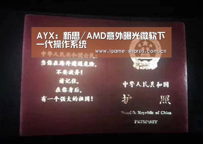 AYX:新思/AMD意外曝光微软下一代操作系统(图4) 体育手机端APP