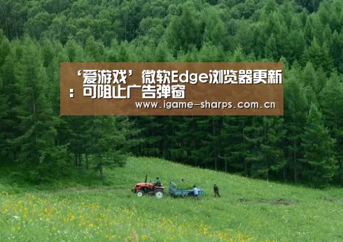 体育手机端APP