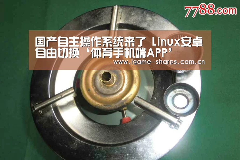 国产自主操作系统来了 Linux安卓自由切换‘体育手机端APP’(图2)