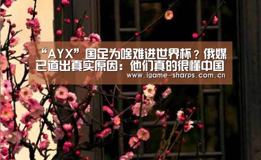 “AYX”国足为啥难进世界杯?俄媒已道出真实原因:他们真的很懂中国足球(图2) 体育手机端APP