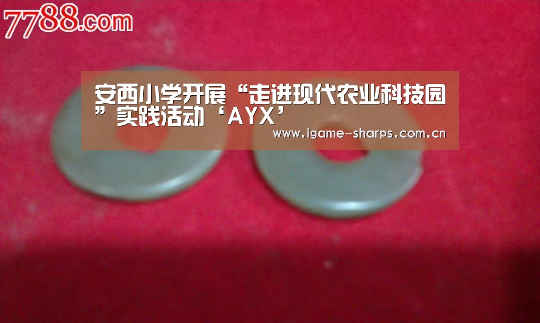 安西小学开展“走进现代农业科技园”实践活动‘AYX’(图2) 安西小学开展“走进现代农业科技园”实践活动‘AYX’(图2)