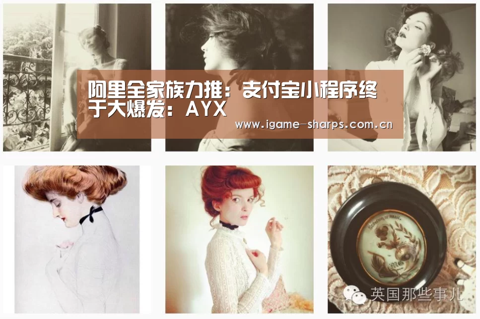 体育手机端APP