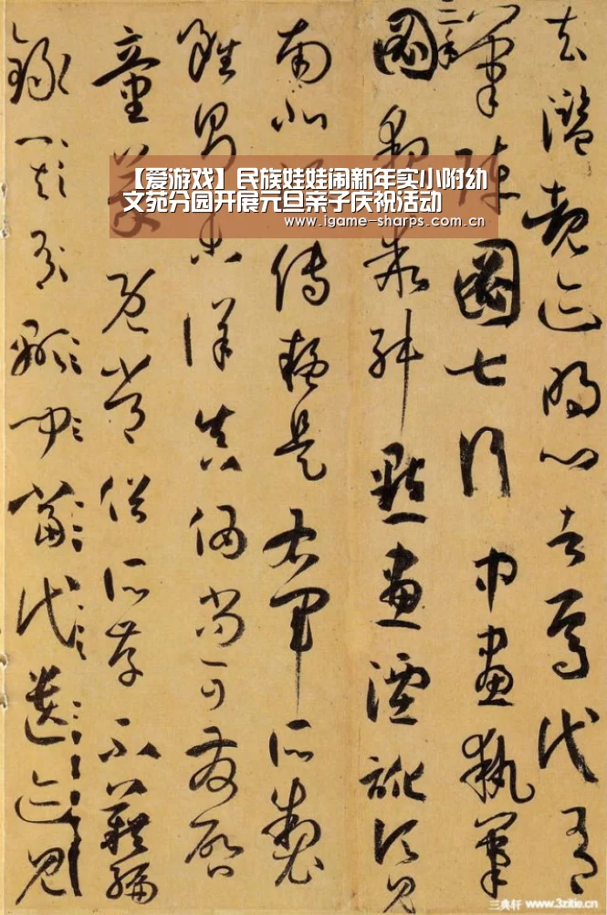 体育手机端APP
